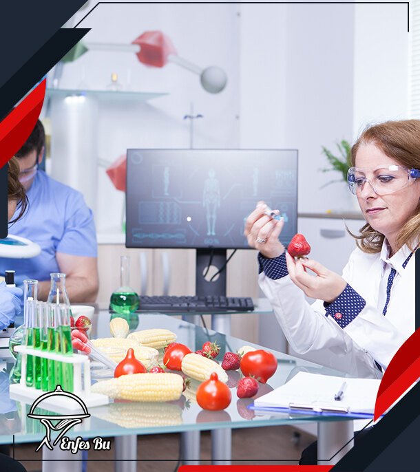 Tabldot Yemek Firmaları Ergene